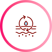 深いシワが改善され 肌の弾力アップ・肌再生・保湿・真皮密度と厚みの向上を示すアイコン