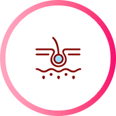 深いシワが改善され 肌の弾力アップ・肌再生・保湿・真皮密度と厚みの向上を示すアイコン